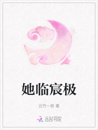 她临宸极在线阅读