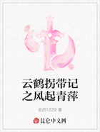 云鶴拐帶記之風起青萍在線閱讀