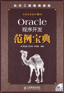 Oracle程序開發(fā)范例寶典